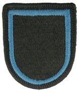 173rd Special Troops Battalion Airborne Team Army Flash