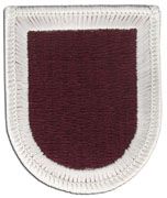 307th Support Battalion Army Flash