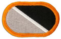 1st Special Warfare Training Group Army Oval