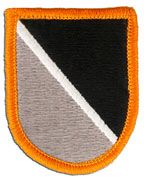 1st Special Warfare Training Group Army Flash