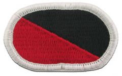 311th Millitary Intellegence Long Range Survellance Division Army Oval