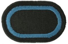 173rd Special Troops Battalion Airborne Team Army Oval