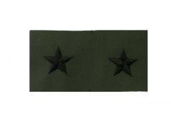  ARMY OFFICER RANK  BRIGADIER GENERAL 1    SUBDUED 