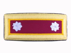 ARMY SHOULDER STRAP  LIEUTENANT COLONEL ORDNANCE   NYLON  MALE