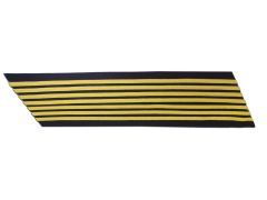 ARMY SERVICE STRIPES  21 YEAR BLUE FEMALE