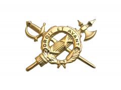 ARMY BRANCH OF SERVICE  22K  INSPECTOR GENERAL OFFICER