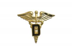 ARMY BRANCH OF SERVICE  22K  DENTAL   D   OFFICER 