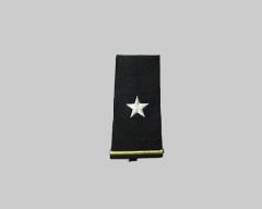 ARMY EPAULET, BRIGADIER GENERAL, LARGE