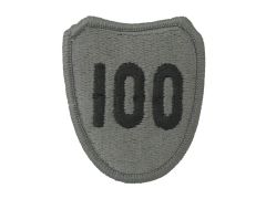 100th Infantry Division Training Army Patch ACU With Velcro