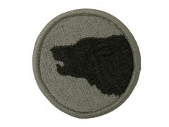 104th Infantry Division Training Army Patch ACU With Velcro