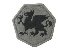 108th Airborne Training Division Army Patch ACU With Velcro