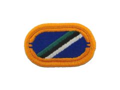 160th Aviation 2nd Battalion Army Oval